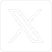 x icon